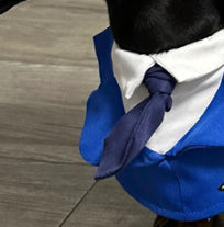 Dachshund Costume Suit | Captain & Pilot Uniform Set for Dogs