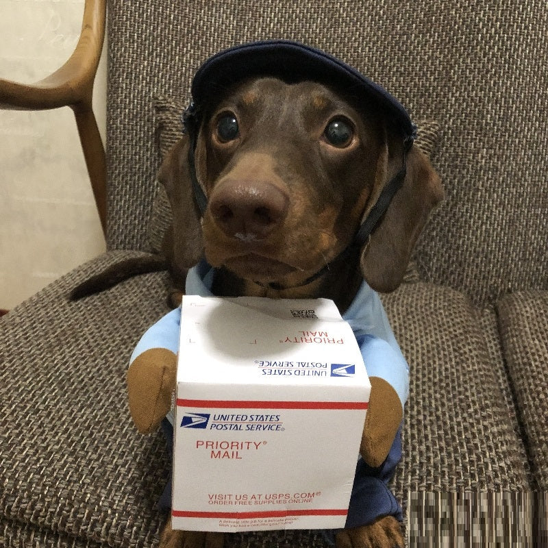 Dog Express Delivery Costume | Funny Sausage Handler Cloak with Hat for Small Dogs | S–L