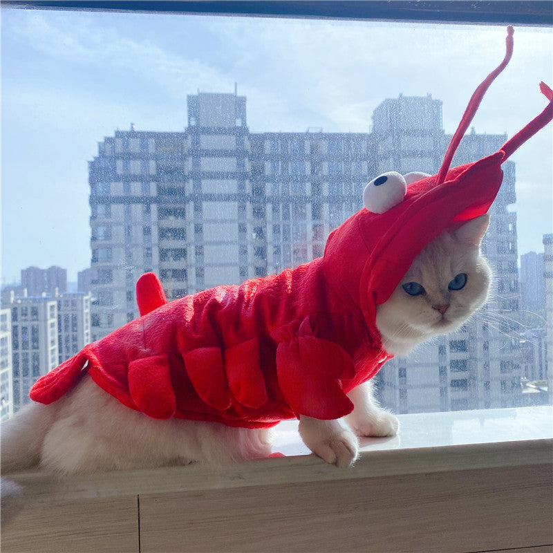 Lobster Costume for Cats & Small Dogs – Halloween & Holiday