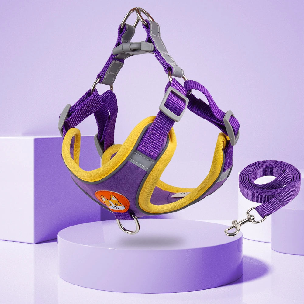 No-Pull Dog Harness & Leash Set | Reflective, Adjustable Vest for Small Dogs | S–XL