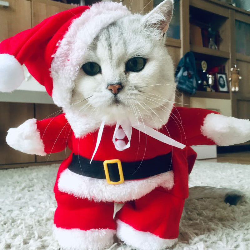 Halloween & Holiday Costume Set for Cats & Dogs – 6 Styles