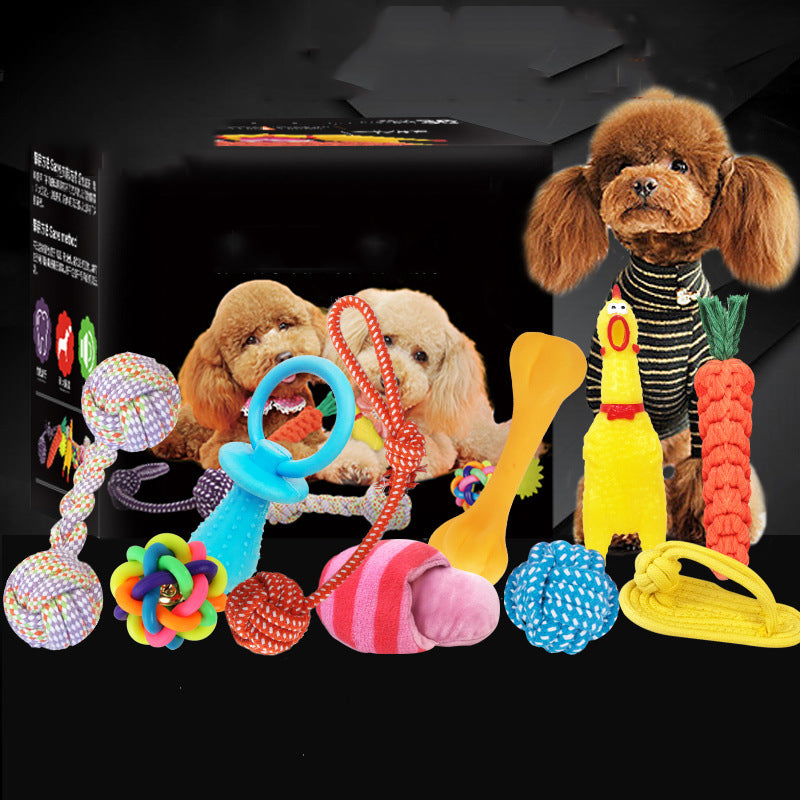 Dog Toy Bundle Set — Squeaky, Chew & Rope Toys for Dogs (8–10 Pieces)