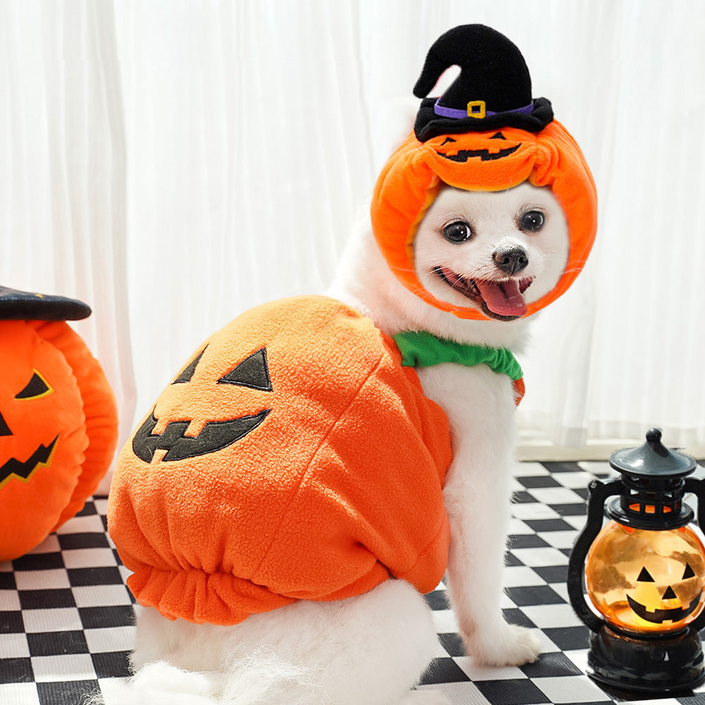 Halloween Pet Costume | Pumpkin Vest & Hat for Dogs & Cats | XS–L