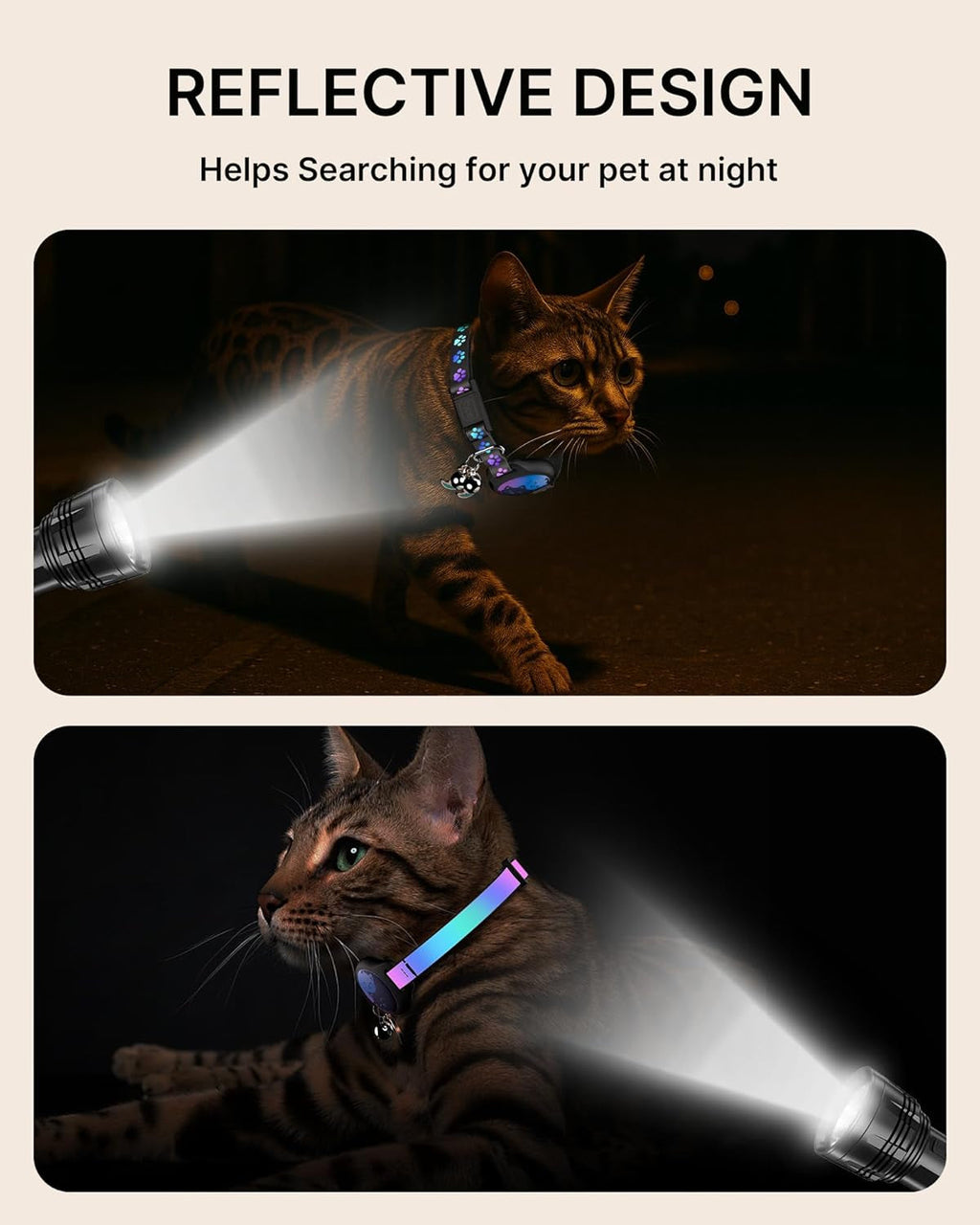 Cat wearing a reflective pet collar with a flashlight highlighting its design.