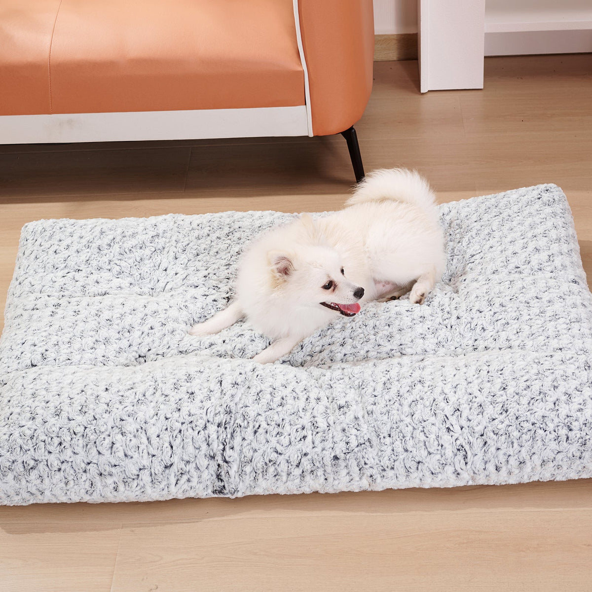 White dog lying on a textured gray rug in a room with an orange couch.