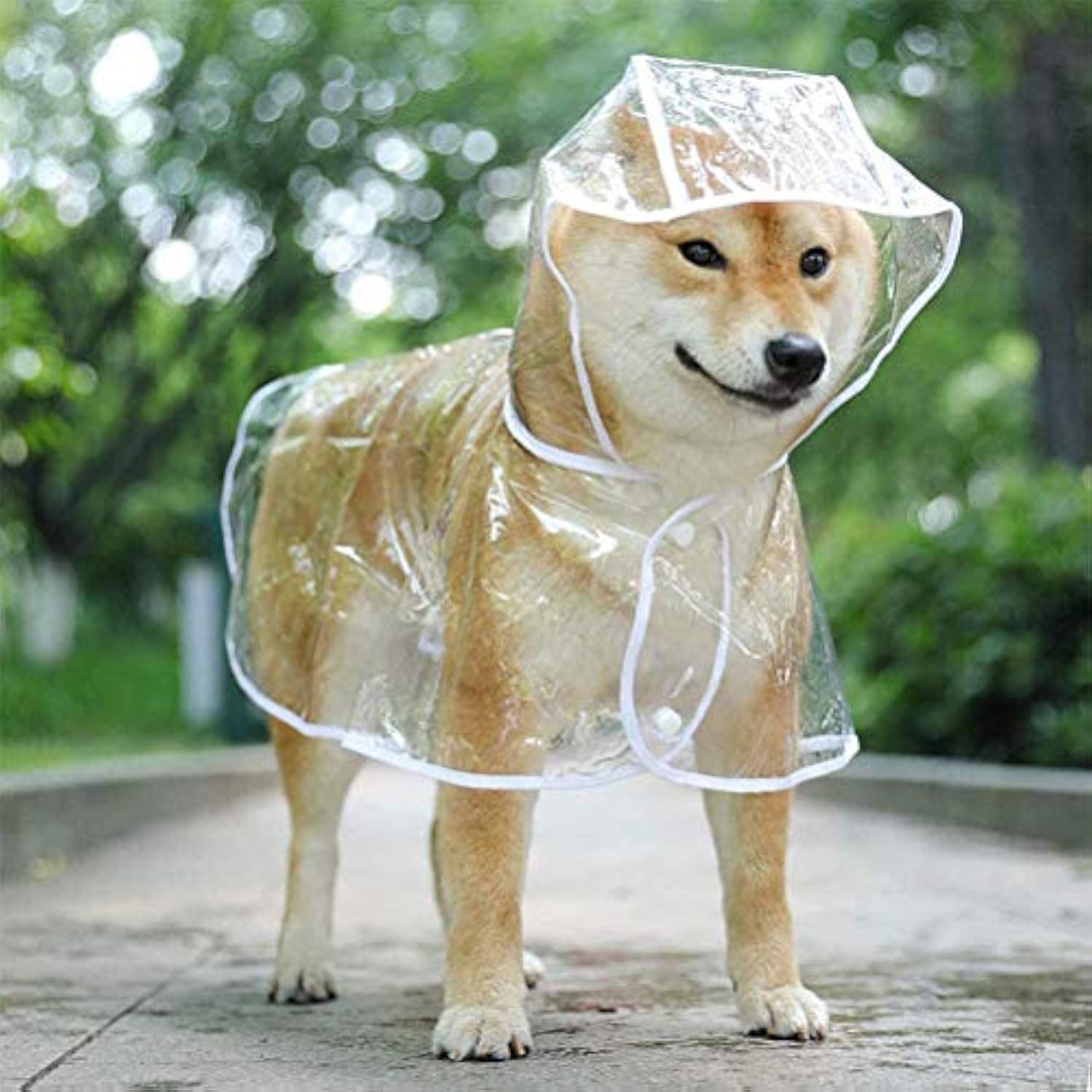 Clear Dog Raincoat with Hood — Lightweight Waterproof Jacket for Small & Medium Dogs