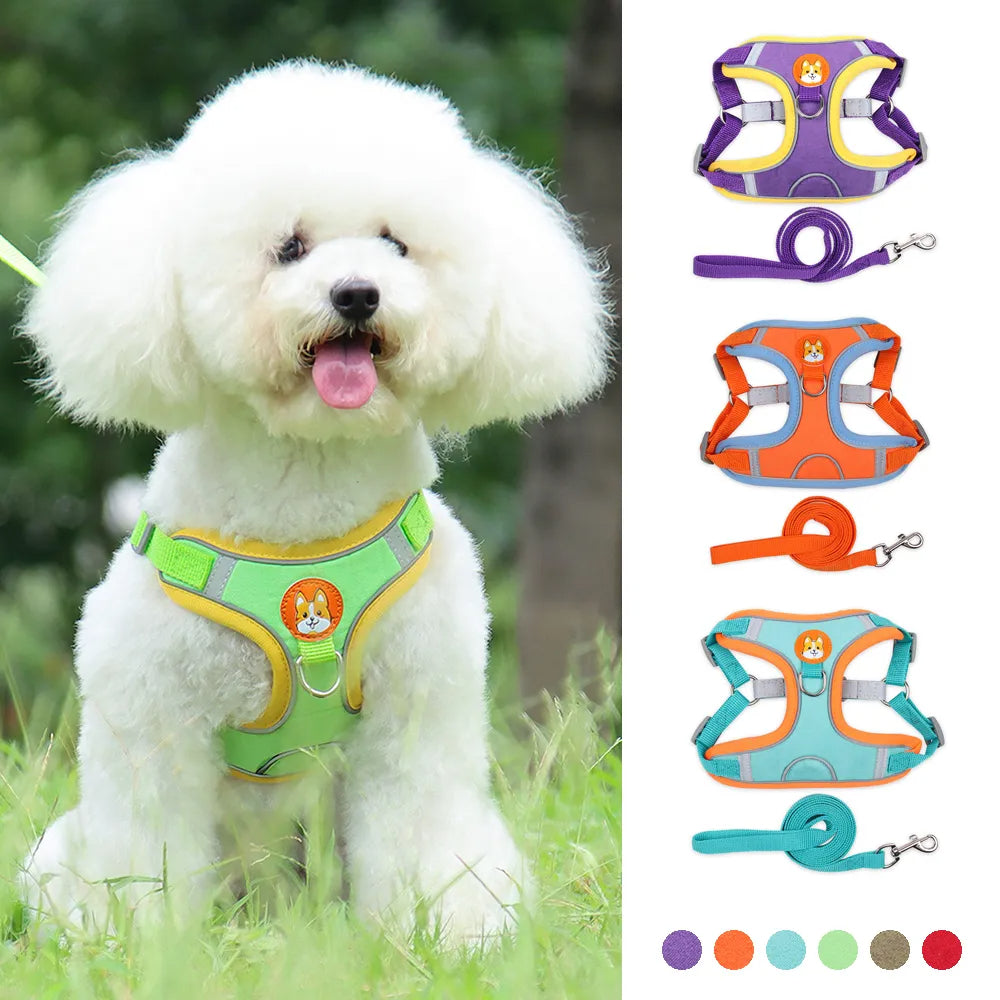 No-Pull Dog Harness & Leash Set | Reflective, Adjustable Vest for Small Dogs | S–XL