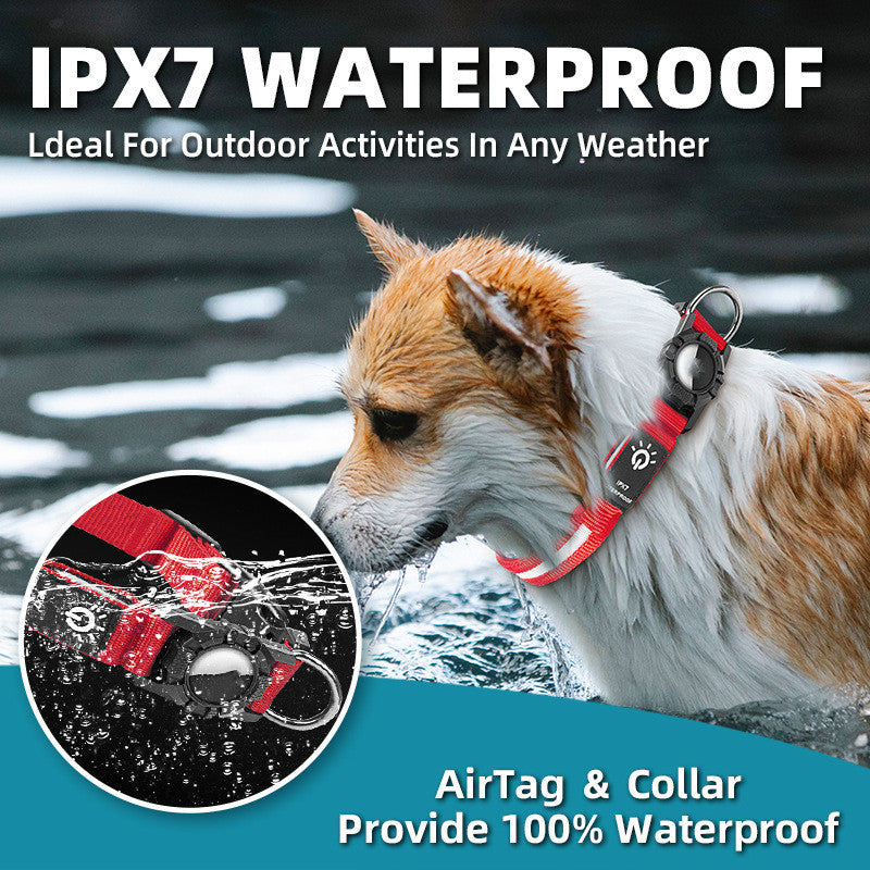 LED Waterproof Dog Collar with Locator Slot — Nylon, S/M/L