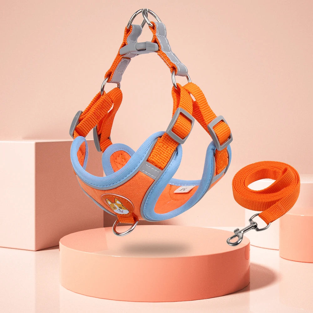 No-Pull Dog Harness & Leash Set | Reflective, Adjustable Vest for Small Dogs | S–XL