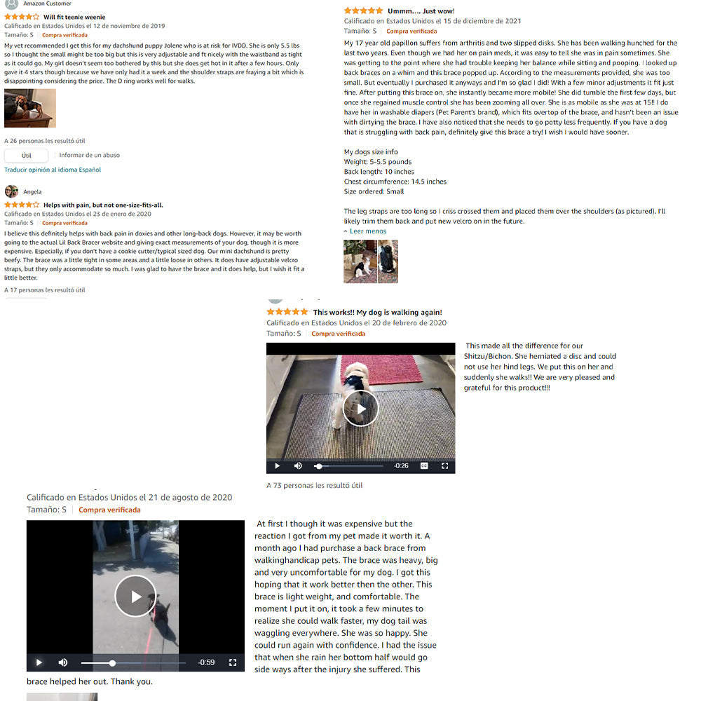 Dog Back Brace | IVDD, Arthritis & Back Pain Support Harness for Dogs | Spinal Recovery | S–L