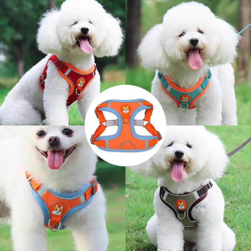 No-Pull Dog Harness & Leash Set | Reflective, Adjustable Vest for Small Dogs | S–XL