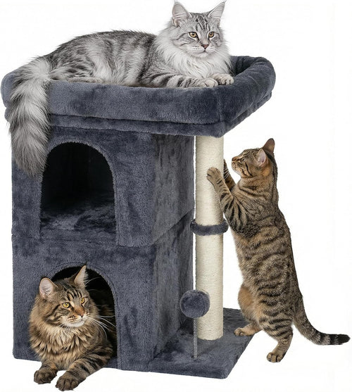 Compact Cat Tree for Large Cats | Indoor Tower with Perch, 2 Condos & Sisal Scratching Post