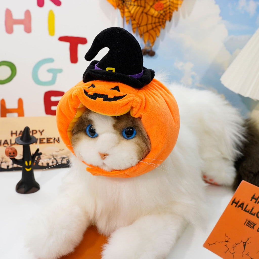 Halloween Pet Costume | Pumpkin Vest & Hat for Dogs & Cats | XS–L