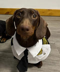Dachshund Costume Suit | Captain & Pilot Uniform Set for Dogs
