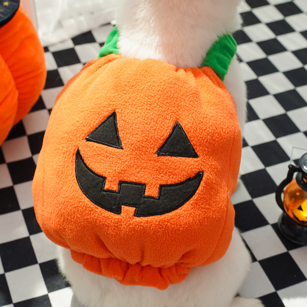 Halloween Pet Costume | Pumpkin Vest & Hat for Dogs & Cats | XS–L