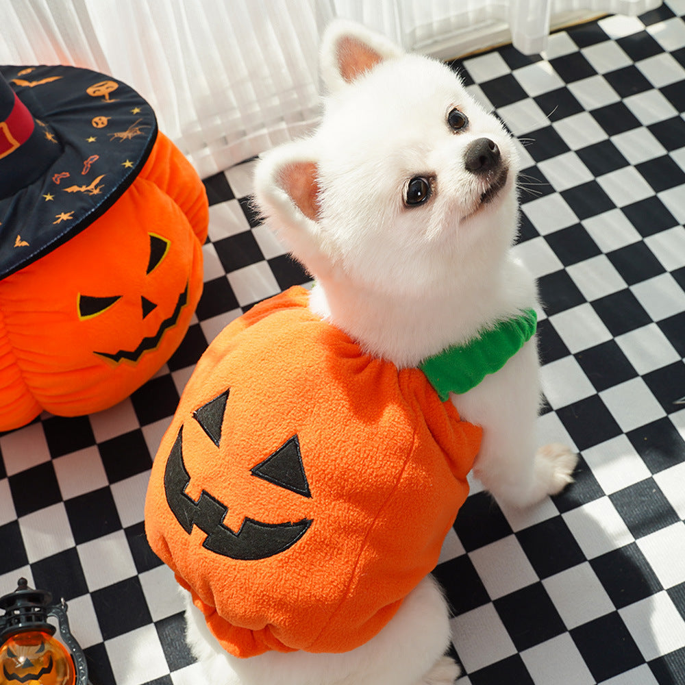 Halloween Pet Costume | Pumpkin Vest & Hat for Dogs & Cats | XS–L