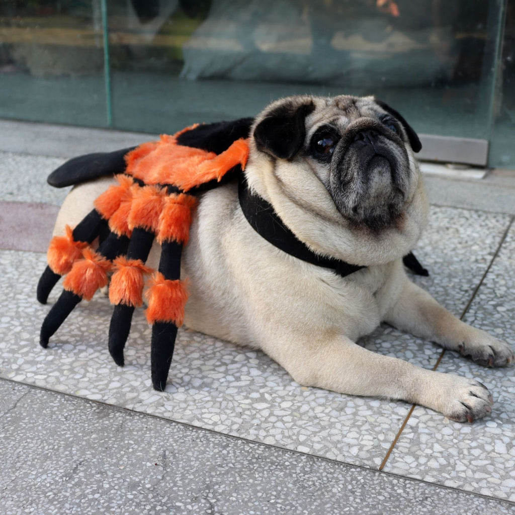 Halloween Spider Pet Costume | Spooky Polyester Outfit for Dogs & Cats | S–L
