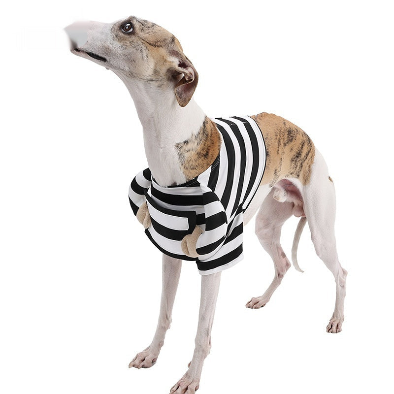 Striped Halloween Dog Costume | Funny Black & White Pet Outfit for Dogs | S–XL