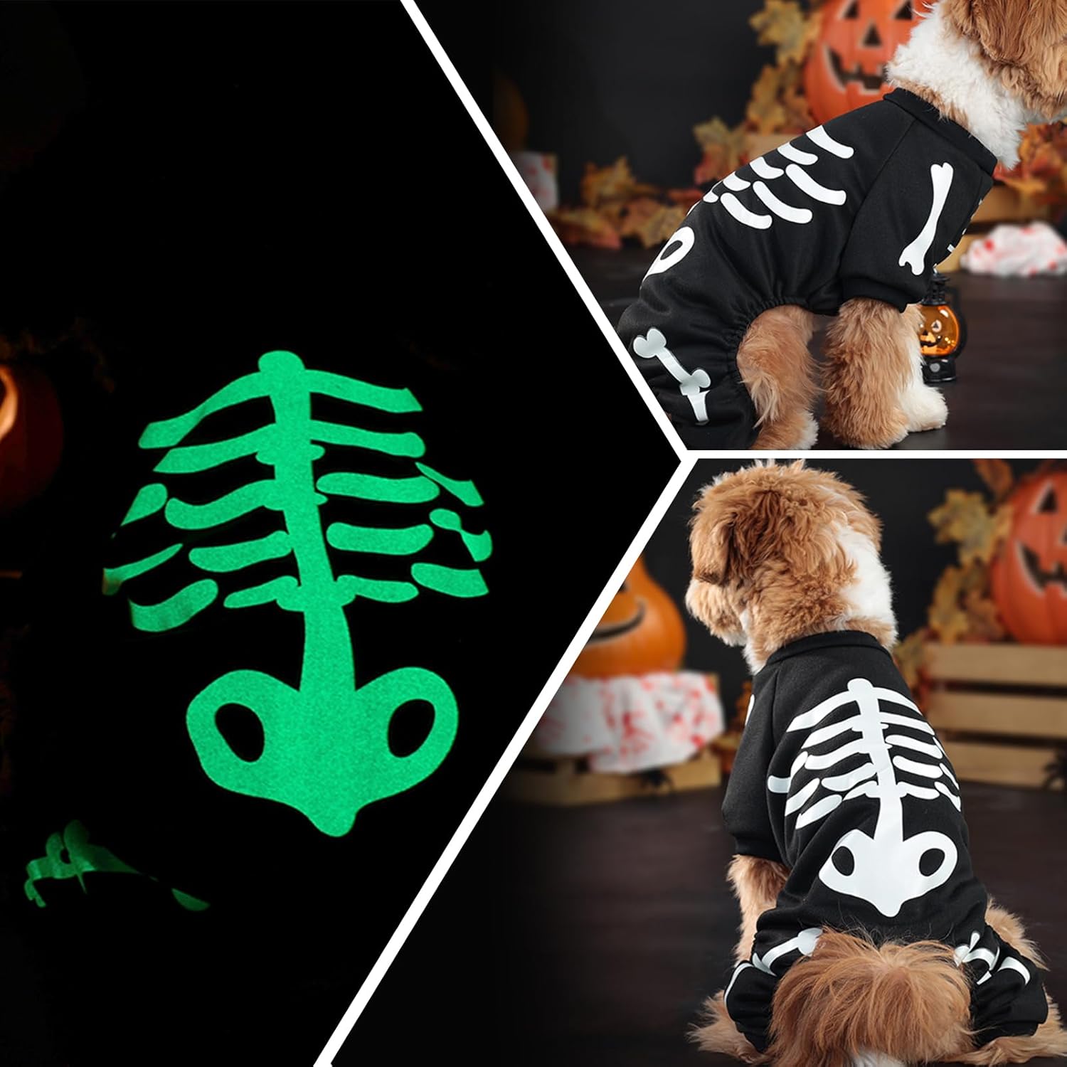 Glow-in-the-Dark Skeleton Dog Jumpsuit | Halloween Costume for Small Dogs