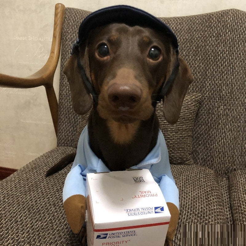 Dog Express Delivery Costume | Funny Sausage Handler Cloak with Hat for Small Dogs | S–L