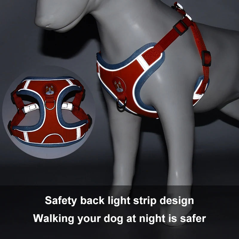No-Pull Dog Harness & Leash Set | Reflective, Adjustable Vest for Small Dogs | S–XL
