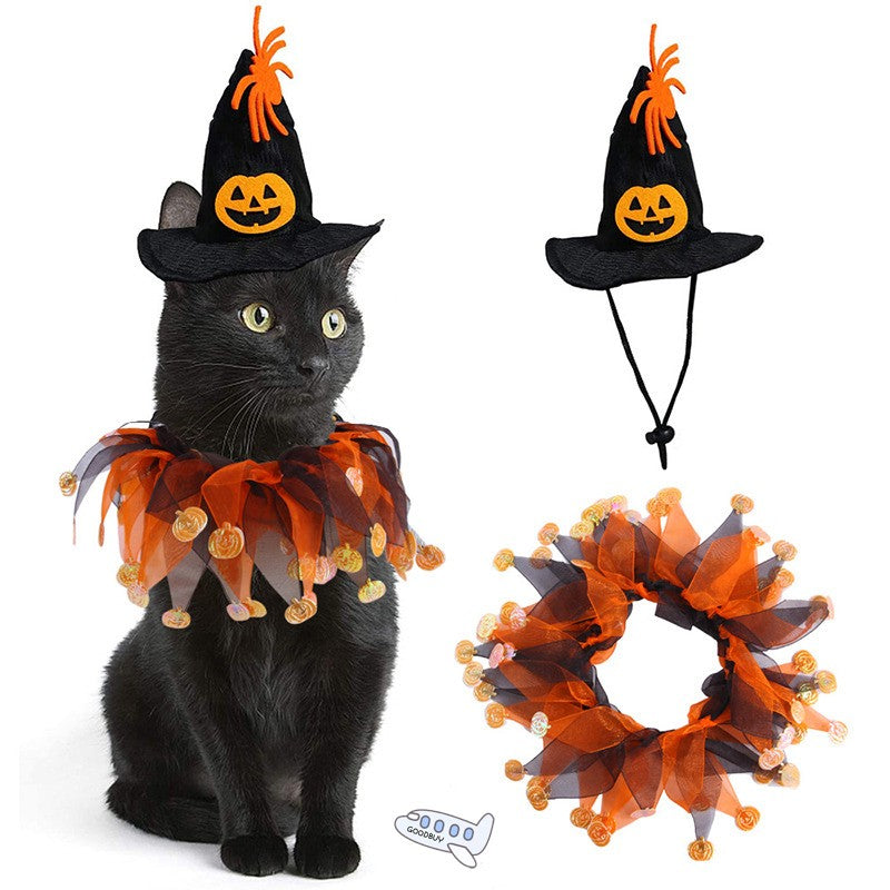 Halloween Witch Hat & Pumpkin Collar Set for Cats & Dogs