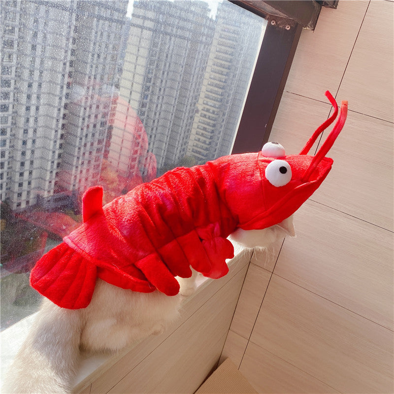 Lobster Costume for Cats & Small Dogs – Halloween & Holiday