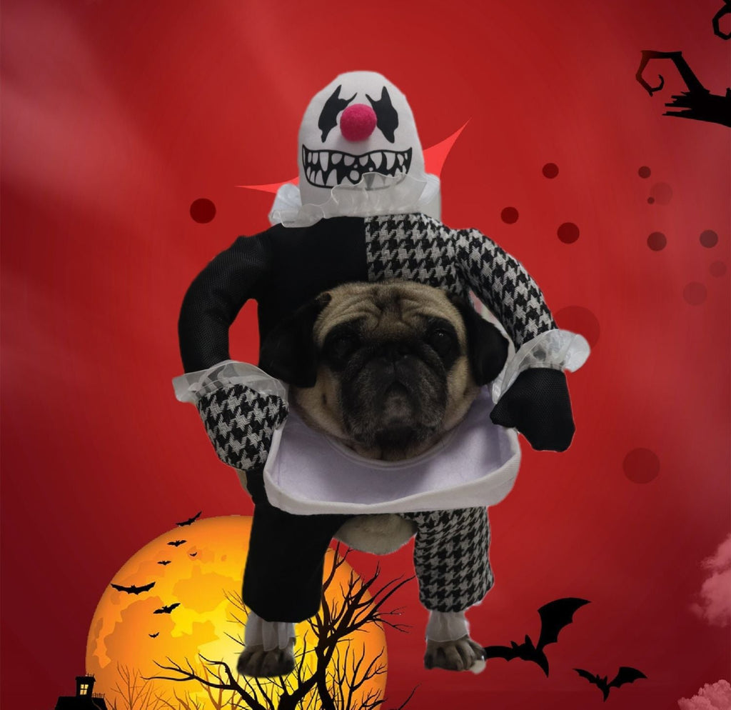 Demon Transformation Halloween Costume for Dogs