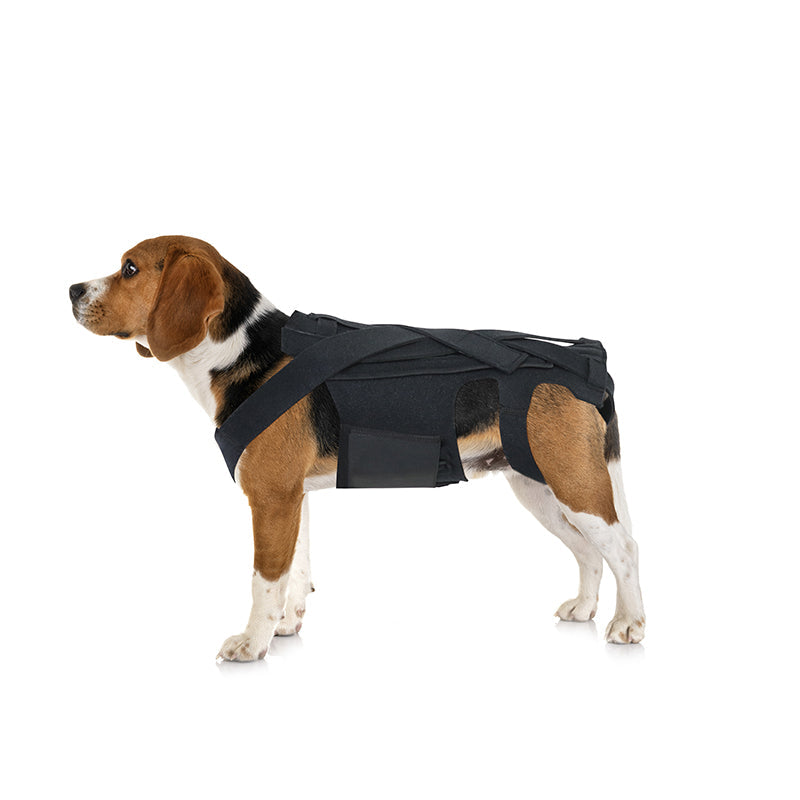 Dog Back Brace | IVDD, Arthritis & Back Pain Support Harness for Dogs | Spinal Recovery | S–L
