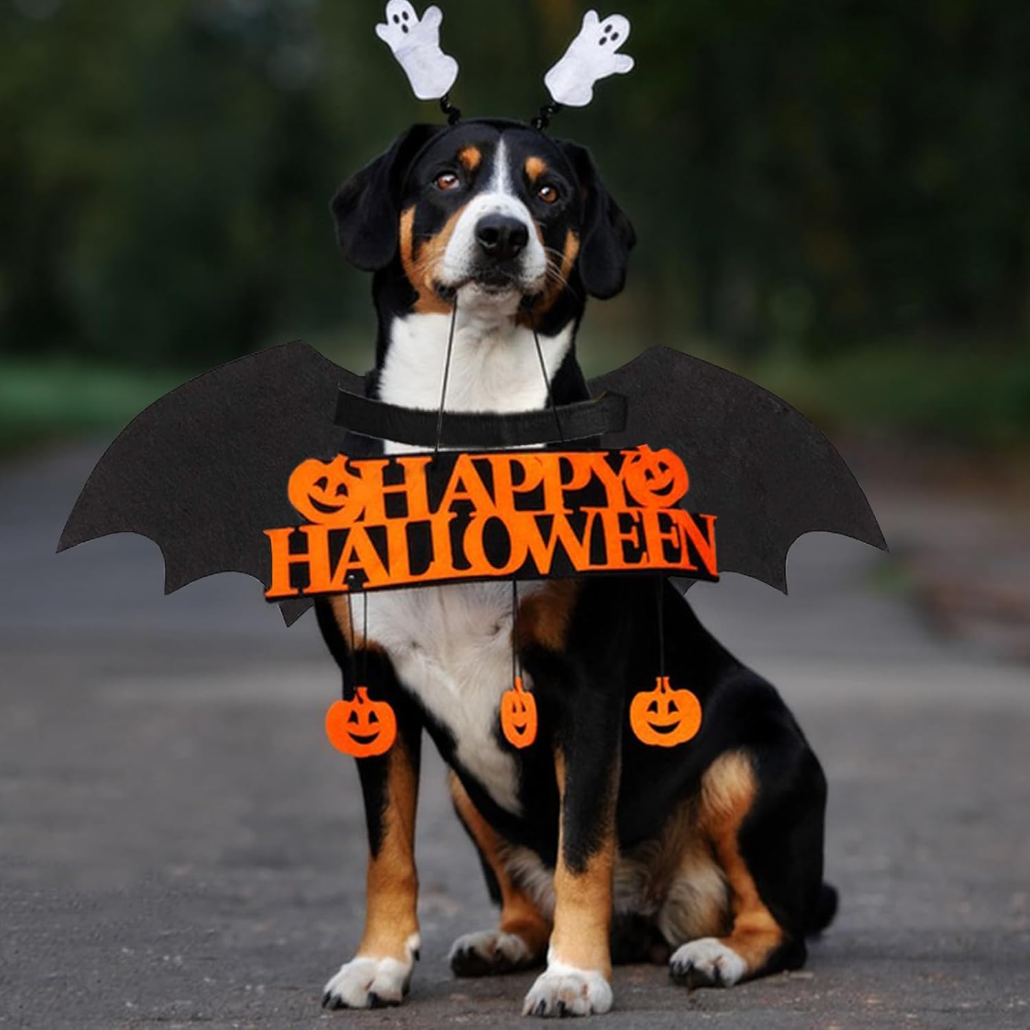 Luminous Bat Wing Dog Halloween Costume | Glow-in-the-Dark Skeleton Design