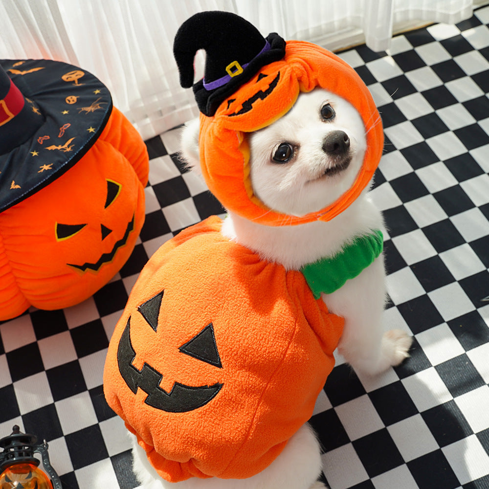Halloween Pet Costume | Pumpkin Vest & Hat for Dogs & Cats | XS–L